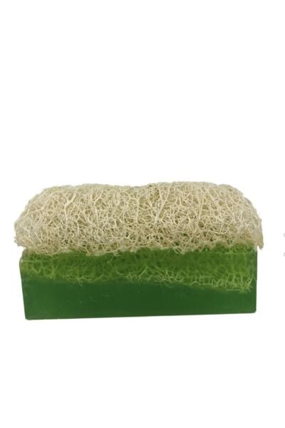 Doğal Kabak Lifli 5 adet Aloe Vera Sabunu 130 Gr